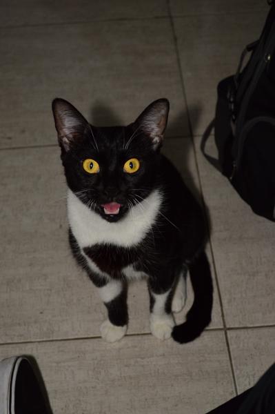 
          ""<br>
          November 13, 2024<br>
          NIKON D3200<br>
          40 mm, f/28/5, 1/60 s, ISO400
          