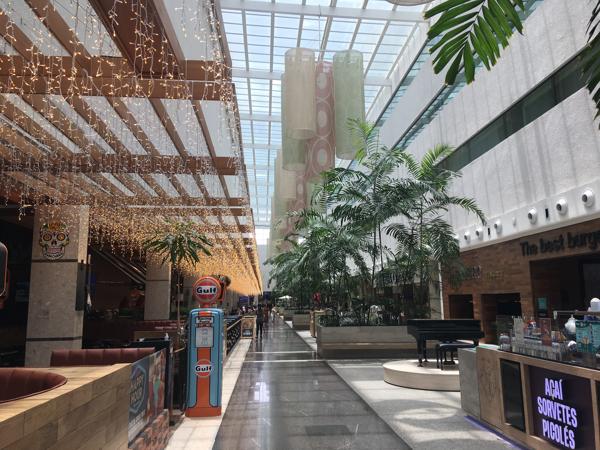 
          ""<br>
          November 12, 2024<br>
          iPhone SE (1st generation)<br>
          83/20 mm, f/11/5, 1/322 s, ISO25
          